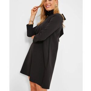 Tuckernuck Black Ruffle-Neck A-Line Dress